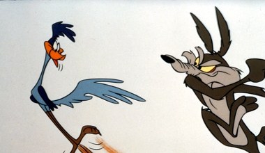 Kojot w filmie przegrywa ze Strusiem Pędziwiatrem. W życiu jest odwrotnie