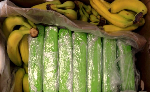Kokaina w bananach trafiła do sklepów. Co ustalono do tej pory?