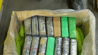 Kokaina warta 14 mln euro ukryta w kontenerze z bananami