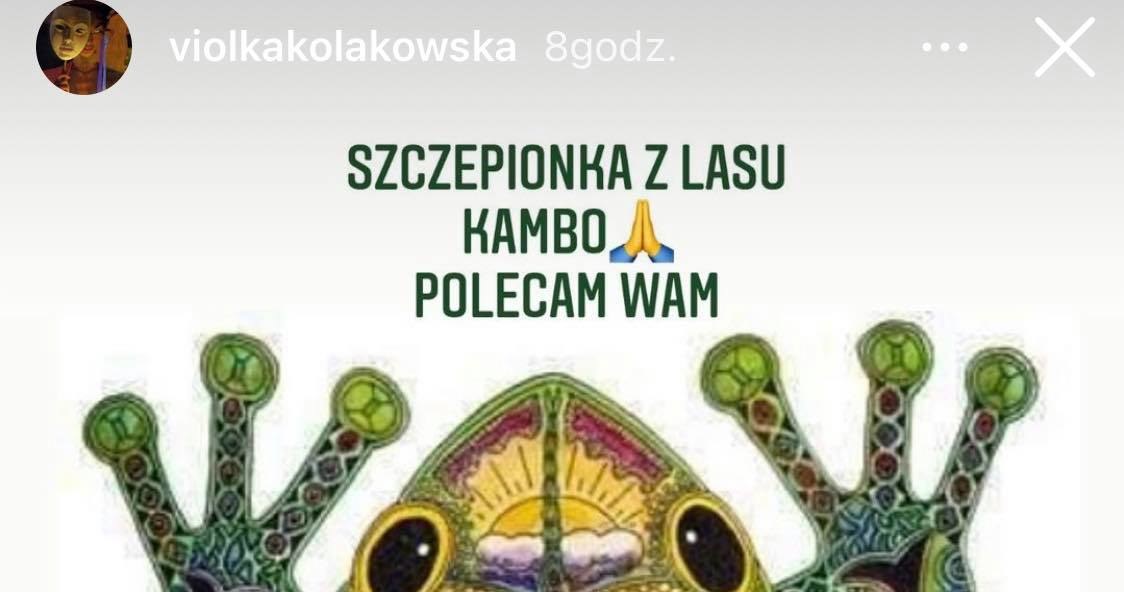 Kołakowska przekonuje do swoich racji /Screen z InstaStory  /Instagram