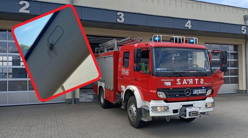 Kolczak zbrojny przestrszył kierowcę BMW. Interweniowała straż pożarna / for. OSP Witnica/facebook /