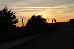 Kolczaste ogrodzenie na granicy Węgier i Serbii