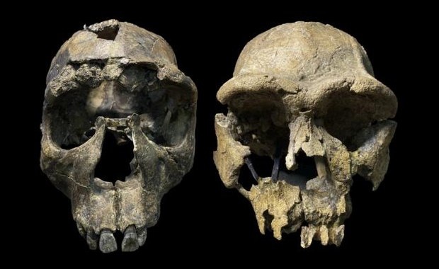 Kolebka ludzkości nam się rozpada