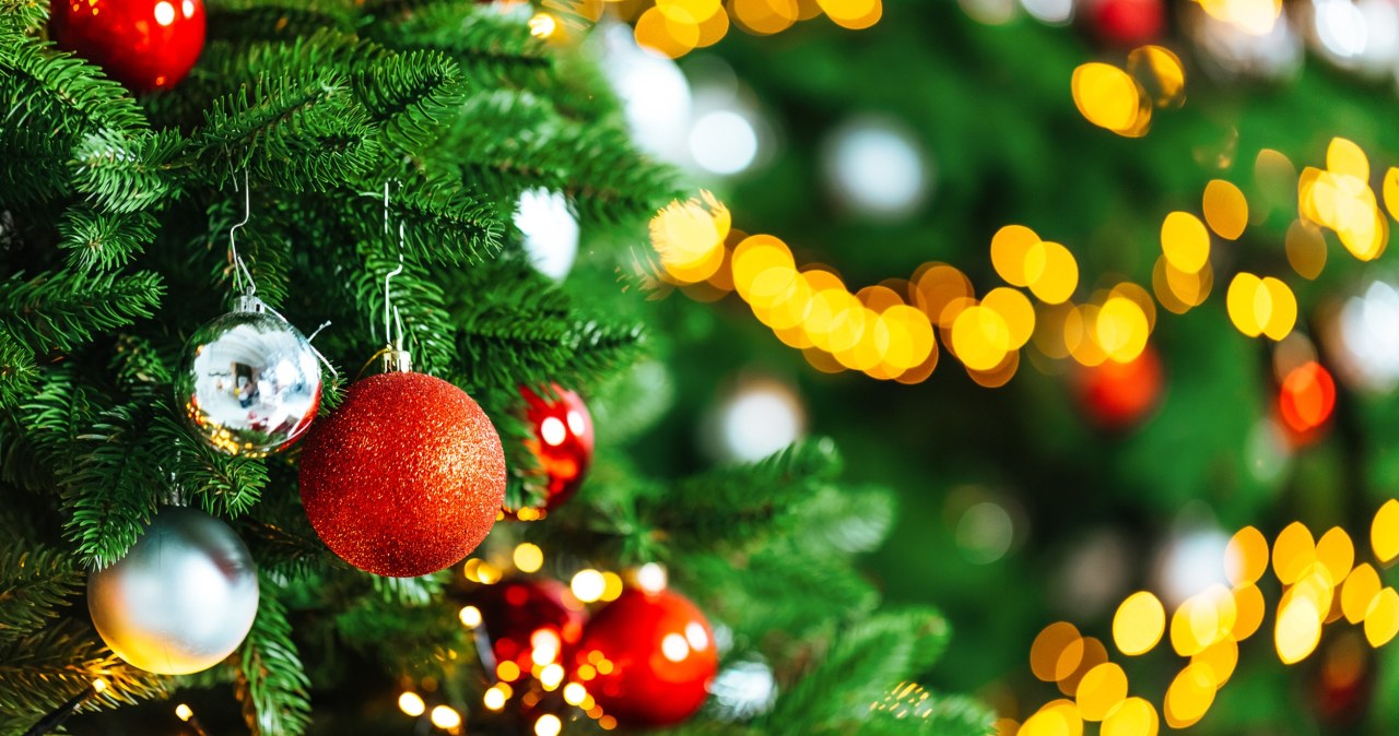 Kolędy i choinka to symbol świąt Bożego Narodzenia /123RF/PICSEL