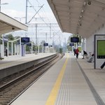 Koleje Dolnośląskie zawieszają połączenia międzynarodowe
