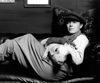 Kolejną filmową rolą Davida Bowiego był udział w niemieckim filmie "Zwyczajny żigolo" (1978) w reżyserii Davida Hemmingsa. Gwiazdor wcielił się w postać Paula Ambrosiusa von Przygodskiego - pruskiego oficera, który w Berlinie po I wojnie światowej znajduje pracę jako żigolak w burdelu prowadzonym przez Baronową (ostatnia kinowa rola Marleny Dietrich).