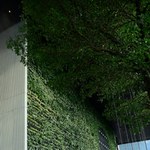 Kolejna niecodzienna realizacja Skanska. W lobby Generation Park Y powstała 15-metrowa zielona ściana