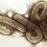 Kolejna ofiara eboli. W Ugandzie zmarła starsza kobieta