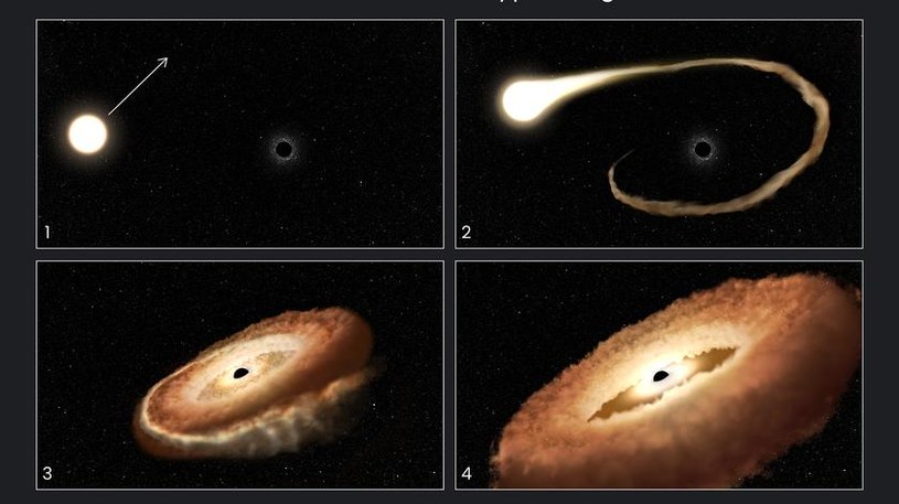 Kolejne etapy niszczenia gwiazdy przez czarną dziurę. /NASA