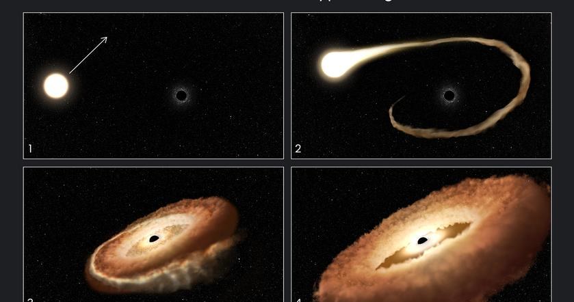 Kolejne etapy niszczenia gwiazdy przez czarną dziurę. /NASA