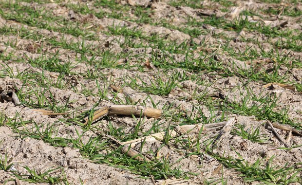 Kolejne gminy na Mazowszu apelują o rozsądne korzystanie z wody