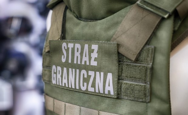 Kolejne grupy imigrantów zatrzymane przez straż graniczną w Śląskiem