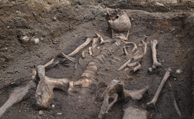 Kolejne odkrycie w Gdańsku. Kompletny szkielet pod płytą z wizerunkiem rycerza