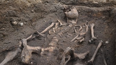 Kolejne odkrycie w Gdańsku. Kompletny szkielet pod płytą z wizerunkiem rycerza