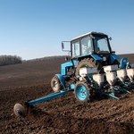 Kolejne odmiany na cenzurowanym. Rząd zakaże kolejnych upraw