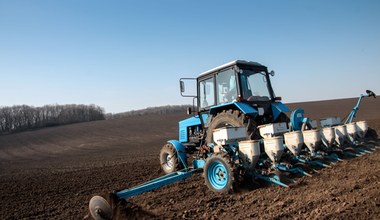 Kolejne odmiany na cenzurowanym. Rząd zakaże kolejnych upraw
