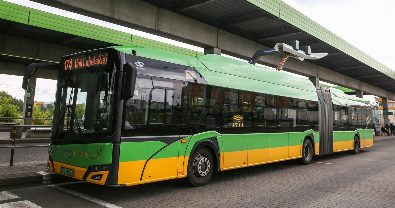 ​Kolejne polskie miasto wprowadza bezpłatną komunikację miejską. Już niedługo pojedziesz autobusem za darmo /Adam Jastrzebowski/REPORTER /East News