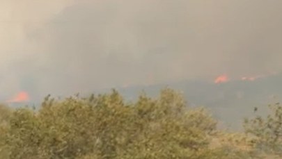 Kolejne pożary w Grecji. Ewakuacja polskich turystów