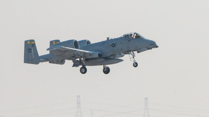 Kolejne samoloty A-10 Thunderbolt Sił Powietrznych USA przyleciały na Bliski Wschód /Defense Visual Information Distribution Service /domena publiczna
