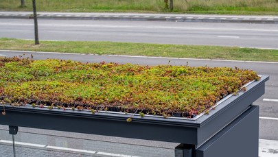 Kolejne środki unijne na niskoemisyjny transport w Chełmie