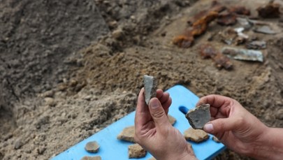 Kolejne szczątki legendarnego bombowca "Łoś" wydobyte z ziemi