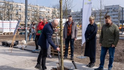Kolejne wrocławskie place i ulice zazielenią się 