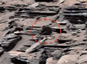 Kolejne zdjęcie żywej istoty na Marsie?