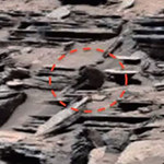 Kolejne zdjęcie żywej istoty na Marsie?