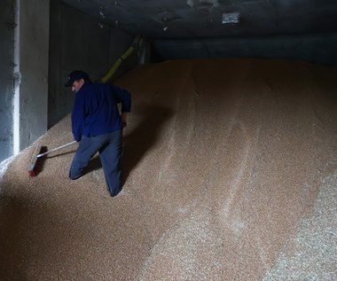 Kolejny kraj nie chce ukraińskiego zboża. "Sprzedawane poniżej cen"