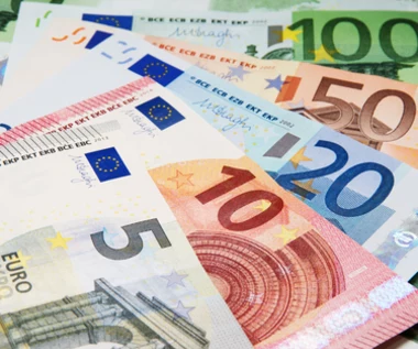 Kolejny kraj UE gotowy dołączyć do strefy euro. Padła data