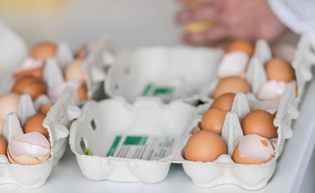 Kolejny kraj UE ma problem z jajami skażonymi środkiem owadobójczym