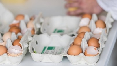Kolejny kraj UE ma problem z jajami skażonymi środkiem owadobójczym
