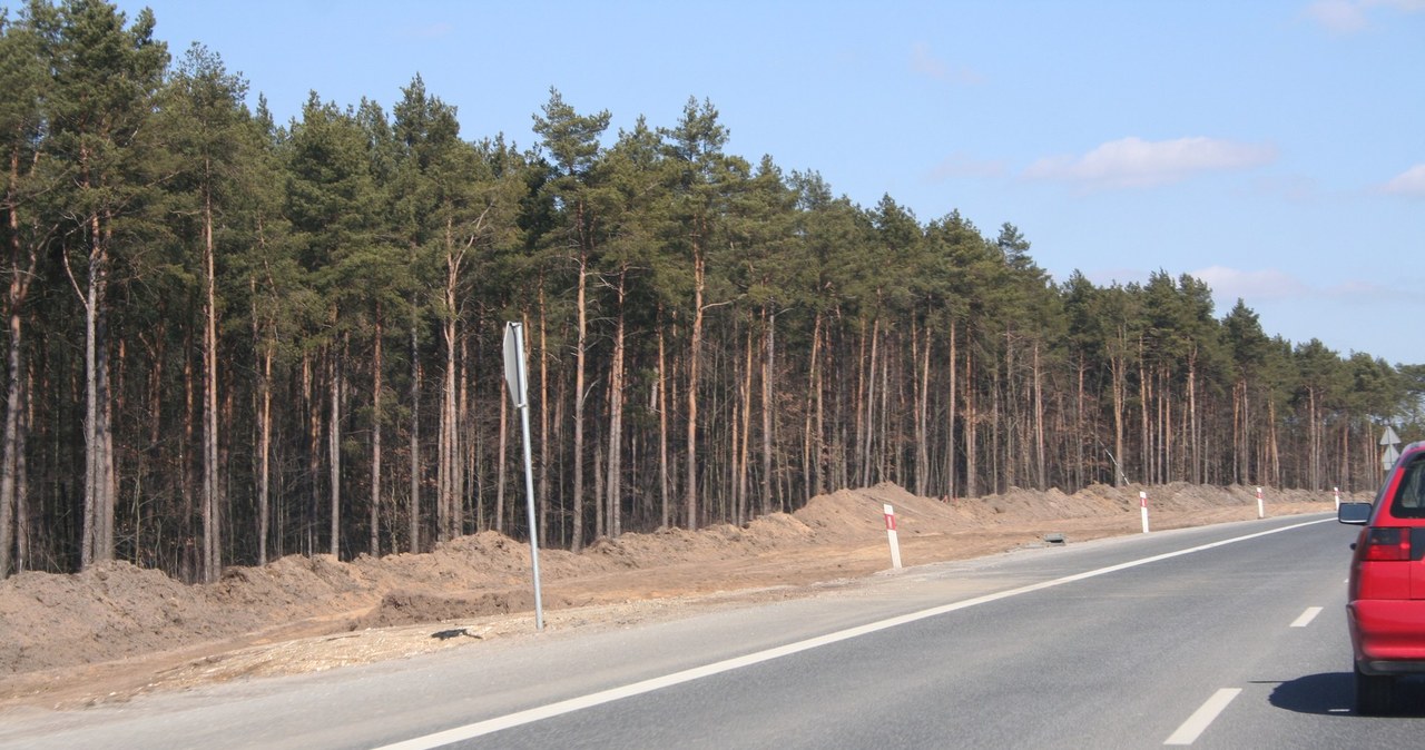 Kolejny odcinek drogi nr 7 będzie ekspresowy /INTERIA.PL