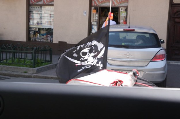Kolejny pirat na drodze