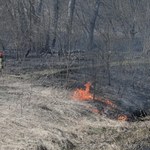 Kolejny pożar traw pomiędzy Wisłą a Wałem Miedzeszyńskim