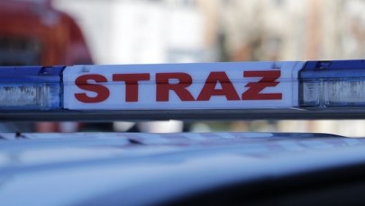 Kolejny pożar traw w Śląskiem. Spłonęło siedem aut