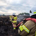 Kolejny pożar w największym polskim parku narodowym. "To był fatalny rok"