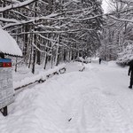 Kolejny zamknięty szlak w Tatrach