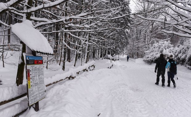 Kolejny zamknięty szlak w Tatrach