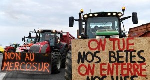 Kolejny zwrot akcji w sprawie głosowania Mercosur