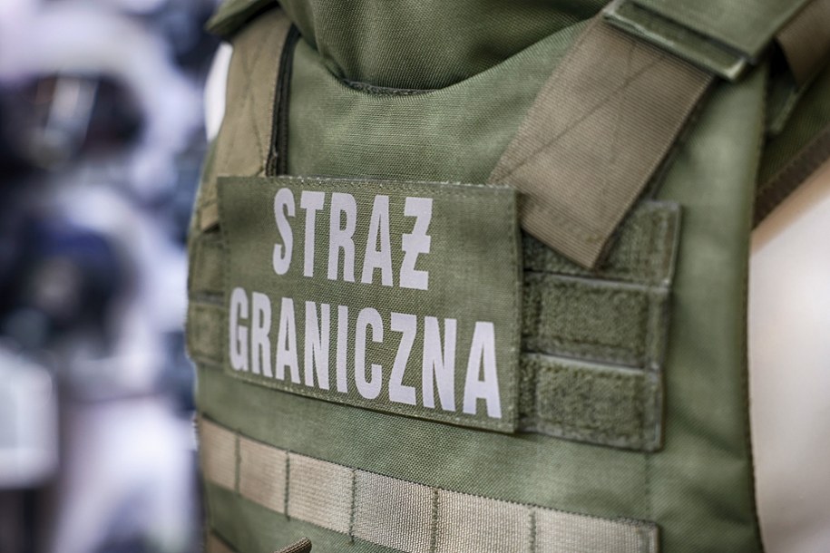 Kary za przestępstwa czy brak dokumentów. Kolejni Gruzini deportowani