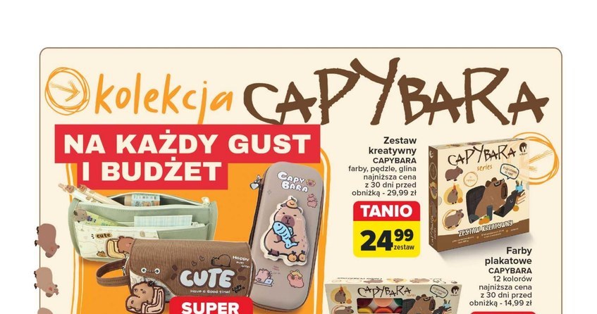 Kolekcja artykułów szkolnych z kapibarami w Carrefourze /Carrefour Polska /INTERIA.PL