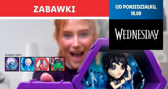 Kolekcja ubrań i gadżetów Wednesday w Lidlu /Lidl /INTERIA.PL