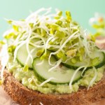 Koleżanka pokazała mi świetny patent. Zdrowe, zielone kiełki mam szybko bez specjalnej kiełkownicy