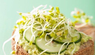 Koleżanka pokazała mi świetny patent. Zdrowe, zielone kiełki mam szybko bez specjalnej kiełkownicy