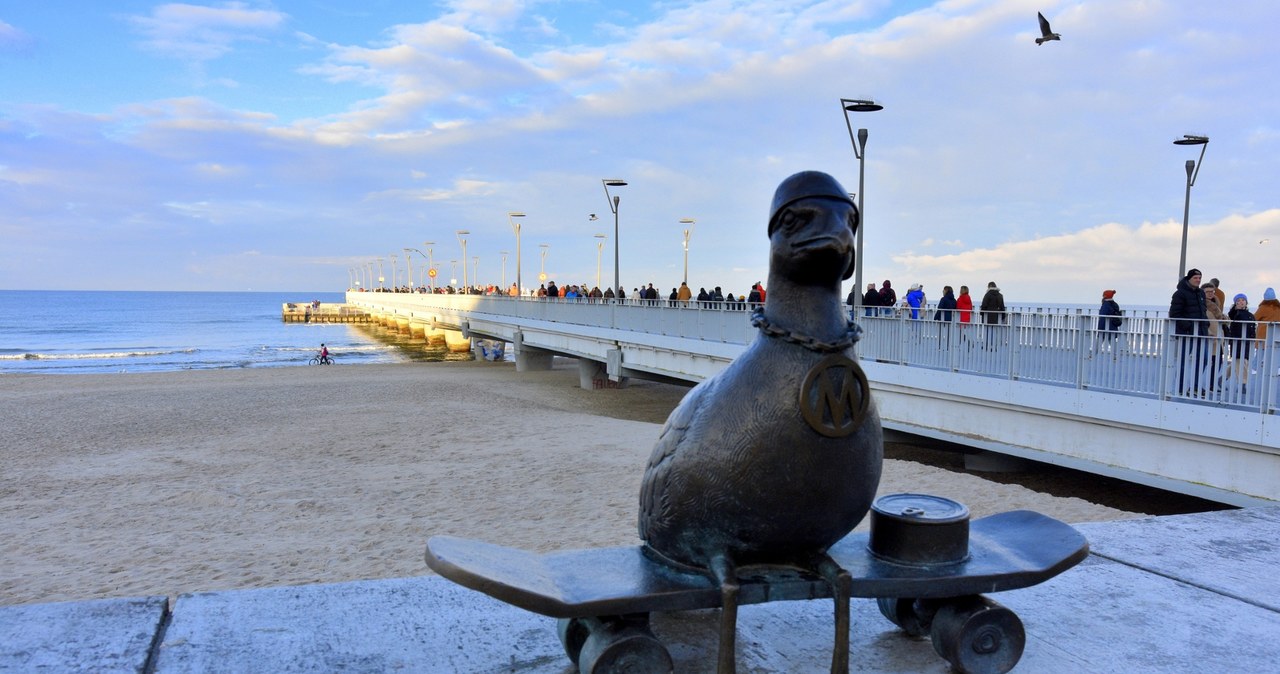 Kołobrzeg posiada liczne atrakcje, w tym spacer szlakiem mew o imieniu Marian. /East News