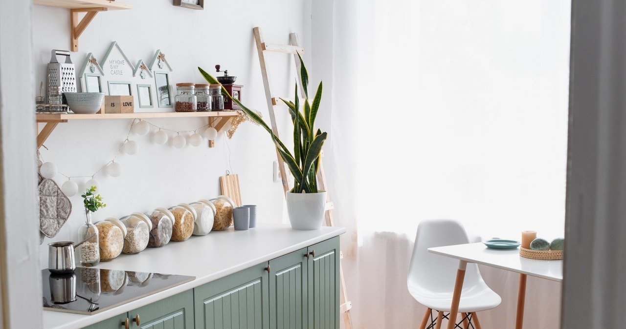 Kolor szałwiowy najczęściej pojawia się na frontach szafek kuchennych /Pixel