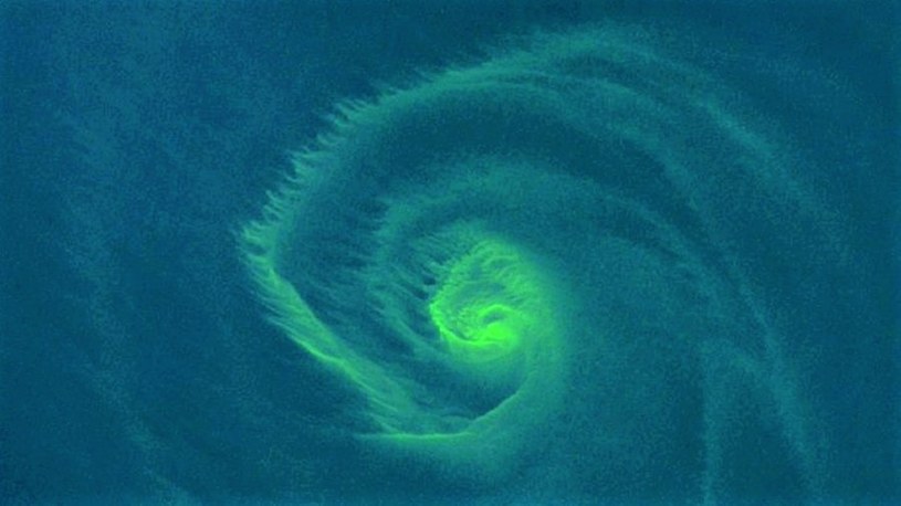 Kolor wiru to efekt chlorofilu w algach, które wypłynęły na powierzchnię Bałtyku / zdjęcie: Copernicus EU / Sentinel-2 /domena publiczna