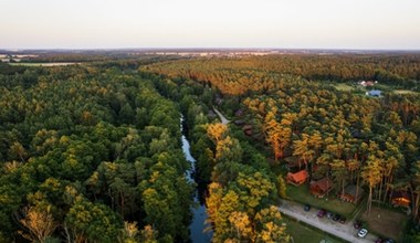 Kolorowe jeziora i tańczące sosny w lubuskich lasach. Najlepsze miejsce na aktywność fizyczną i walkę ze stresem