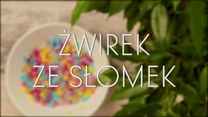 Kolorowy żwirek ze słomek